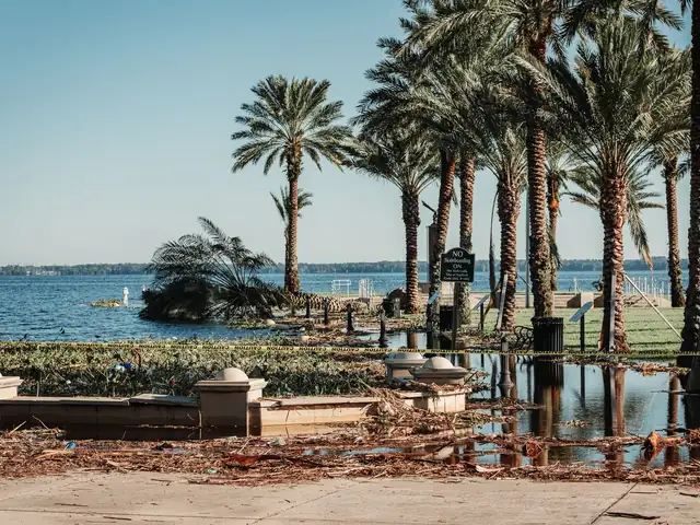 Flooded Florida waterfront with palm trees after a storm