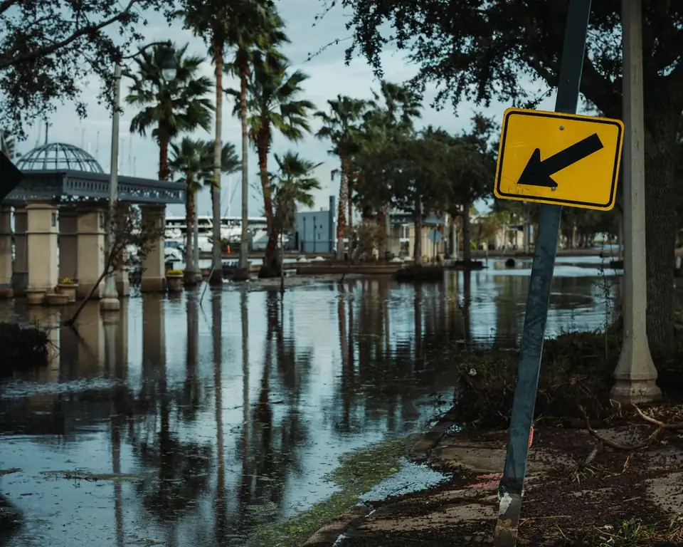 Flooded road lined with palm trees after heavy rain