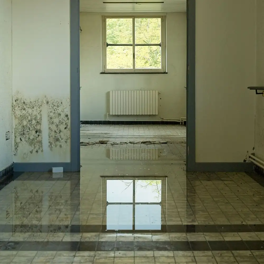 Standing water across a tiled room floor, reflecting the window, with mold stains on the damp wall