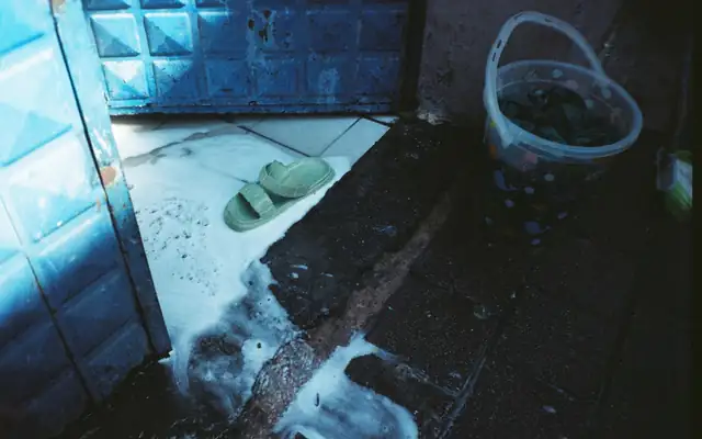 Water pooled across a home entryway floor
