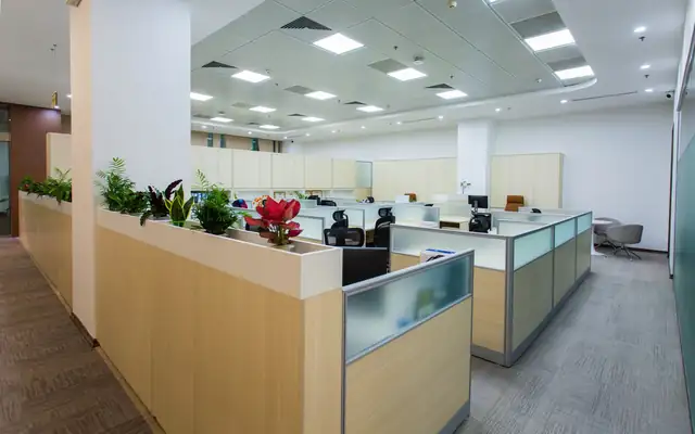 Bright open-plan office with workstations